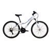 BIC INDIE 24 Alloy – 2020