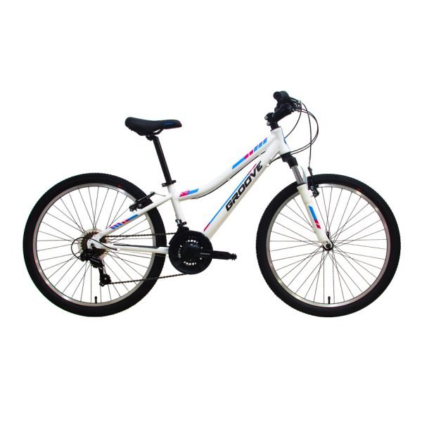 BIC INDIE 24 Alloy – 2020