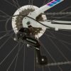 DETALHES-INDIE-24-BR–2020_A