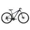 HYPE50-29er1